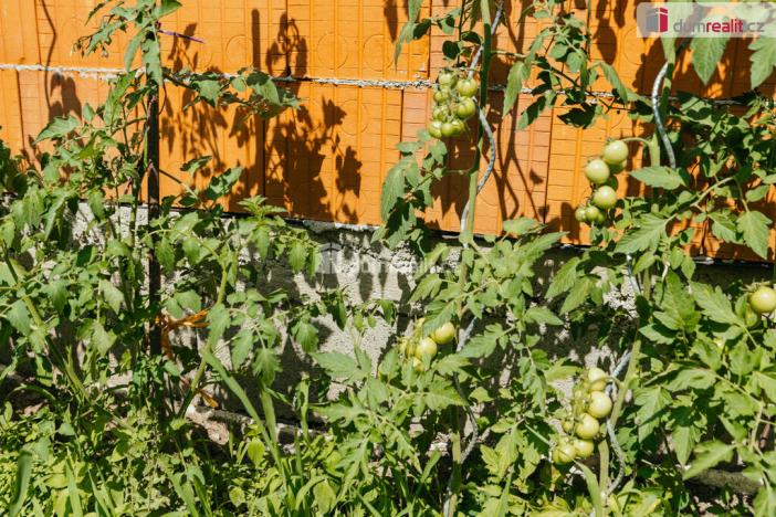 Prodej chaty, Malé Kyšice, 337 m2