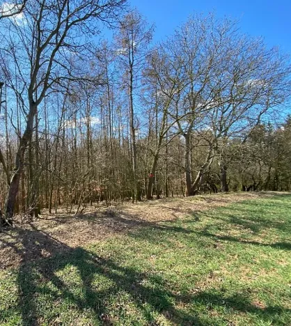 Prodej louky, Havlovice, 2200 m2