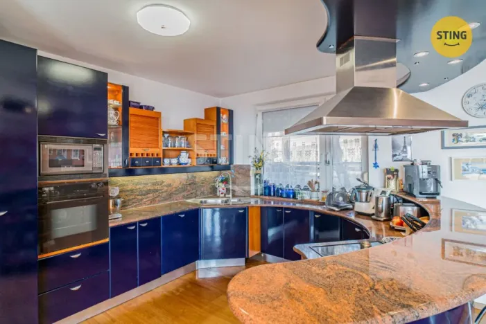 Prodej rodinného domu, Samotišky, Fromkova, 438 m2