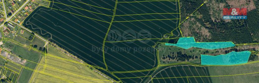 Prodej lesa, Bělá, 17628 m2