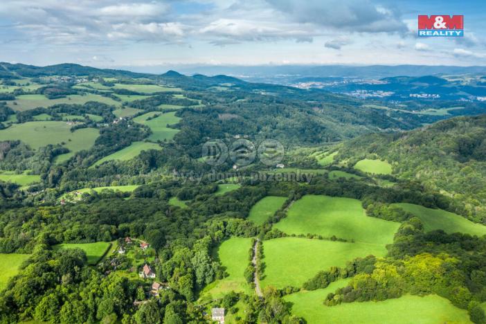 Prodej lesa, Homole u Panny - Suletice, 22174 m2