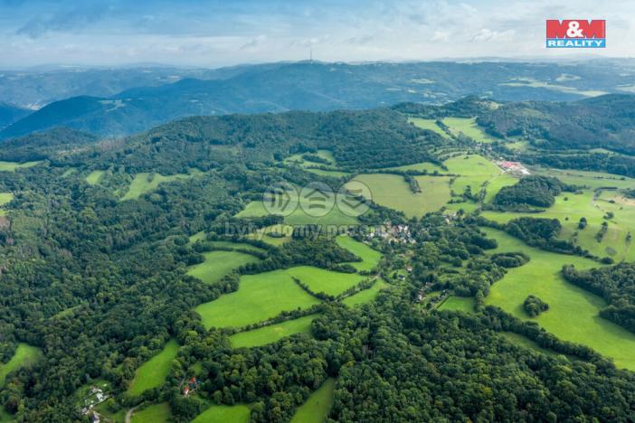 Prodej lesa, Homole u Panny - Suletice, 22174 m2