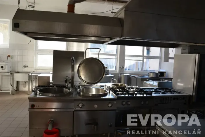 Prodej ubytování, Žihle - Nový Dvůr, Nový Dvůr, 8175 m2