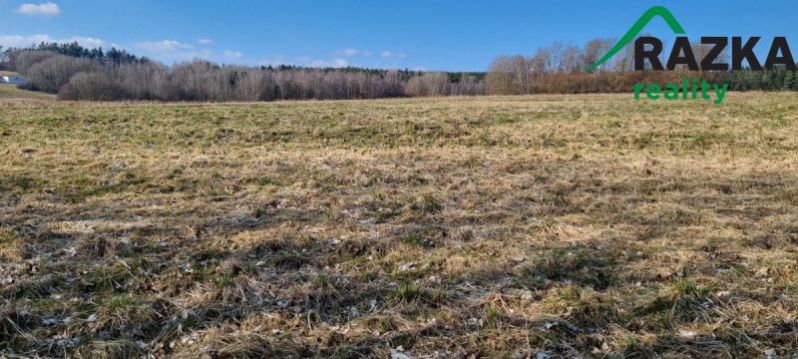 Prodej pole, Halže, 192062 m2