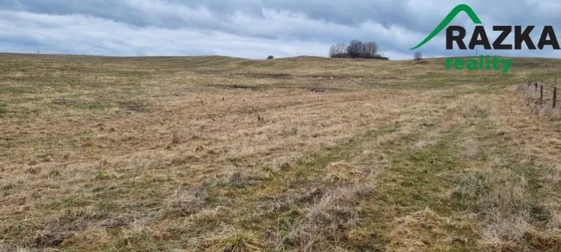 Prodej pole, Chodský Újezd - Neblažov, 387228 m2