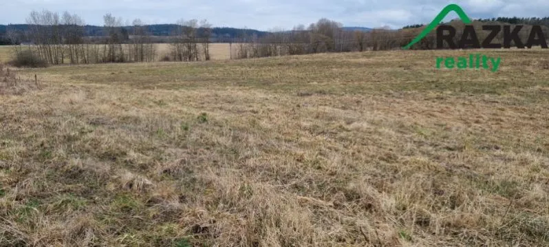 Prodej pole, Chodský Újezd - Neblažov, 387228 m2