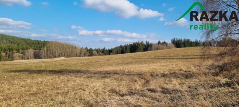 Prodej pole, Halže - Svobodka, 141968 m2