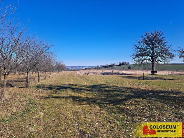 Prodej pole, Štěchov, 4979 m2