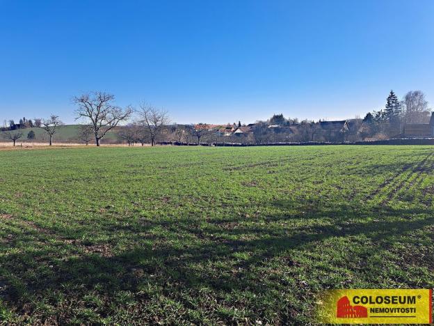 Prodej pole, Štěchov, 4979 m2