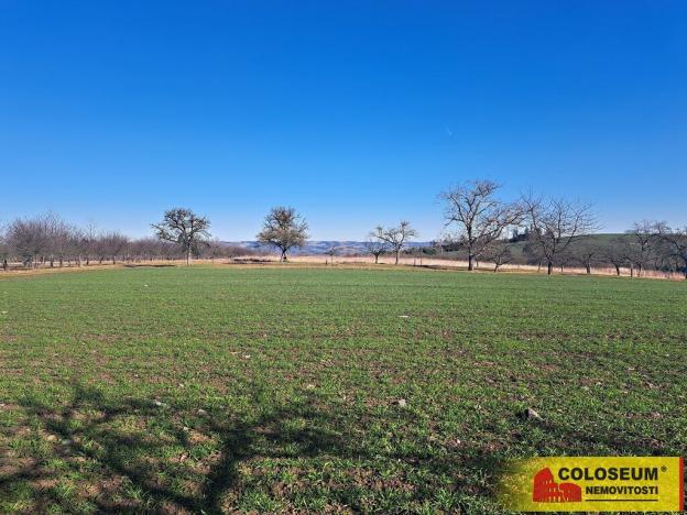 Prodej pole, Štěchov, 4979 m2