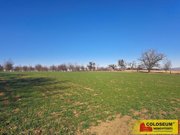 Prodej pole, Štěchov, 4979 m2