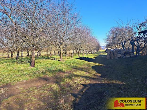 Prodej pole, Štěchov, 4979 m2