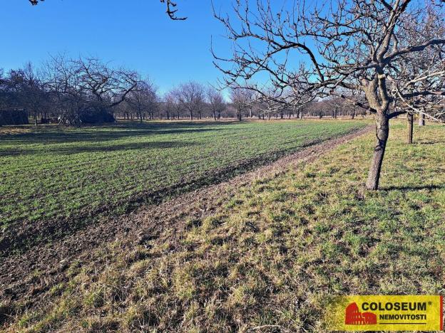 Prodej pole, Štěchov, 4979 m2