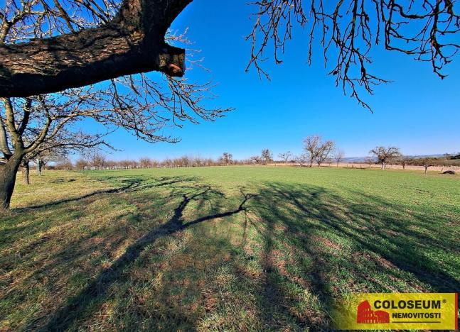 Prodej pole, Štěchov, 4979 m2