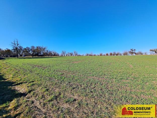 Prodej pole, Štěchov, 4979 m2