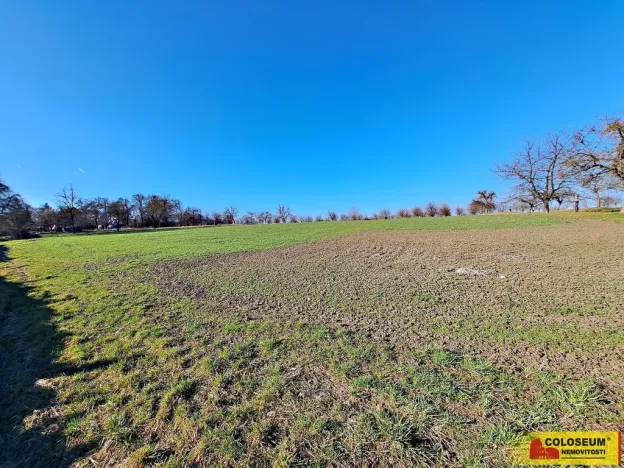 Prodej pole, Štěchov, 4979 m2