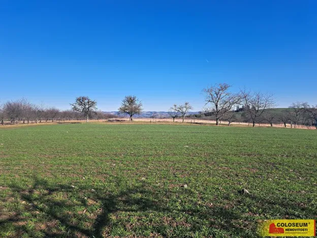 Prodej pole, Štěchov, 4979 m2