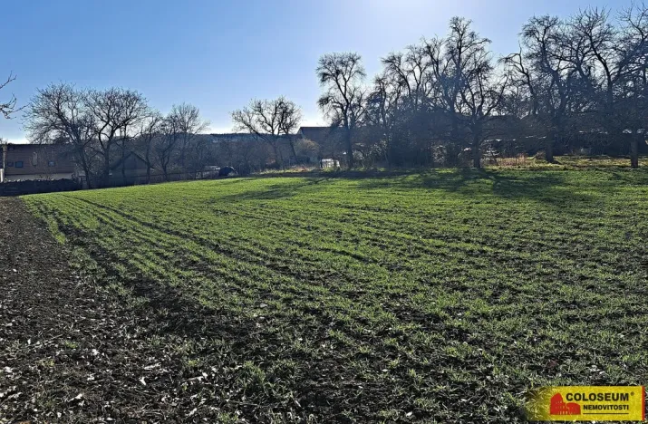 Prodej pole, Štěchov, 4979 m2