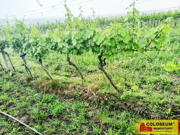 Prodej pozemku, Němčičky, 34673 m2