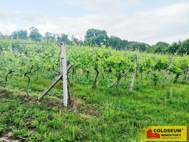 Prodej pozemku, Němčičky, 34673 m2