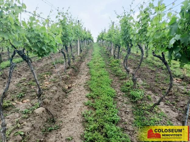 Prodej pozemku, Němčičky, 34673 m2