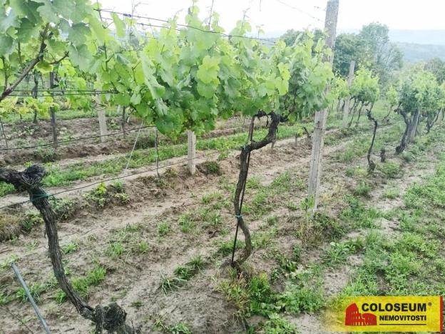 Prodej pozemku, Němčičky, 34673 m2