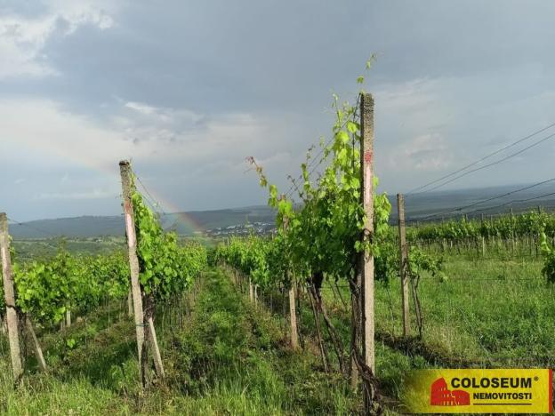 Prodej pozemku, Němčičky, 34673 m2