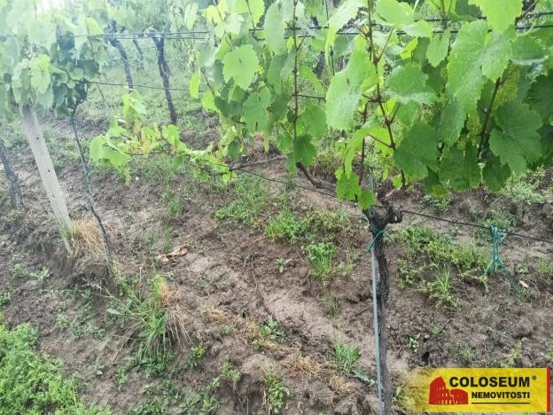 Prodej pozemku, Němčičky, 34673 m2