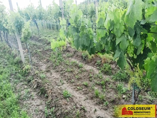 Prodej pozemku, Němčičky, 34673 m2