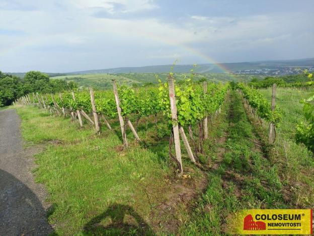 Prodej pozemku, Němčičky, 34673 m2