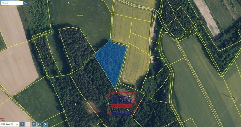 Prodej lesa, Sychrov - Radostín, 30767 m2