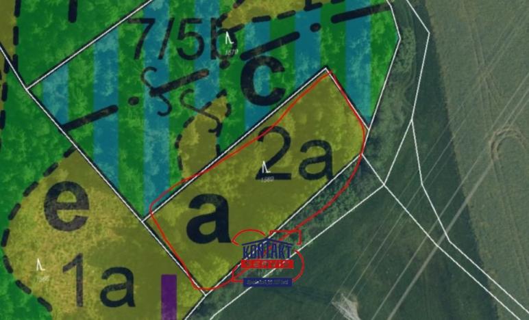 Prodej lesa, Sychrov - Radostín, 30767 m2