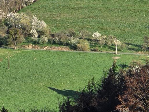 Prodej pozemku, Rusava, 3304 m2