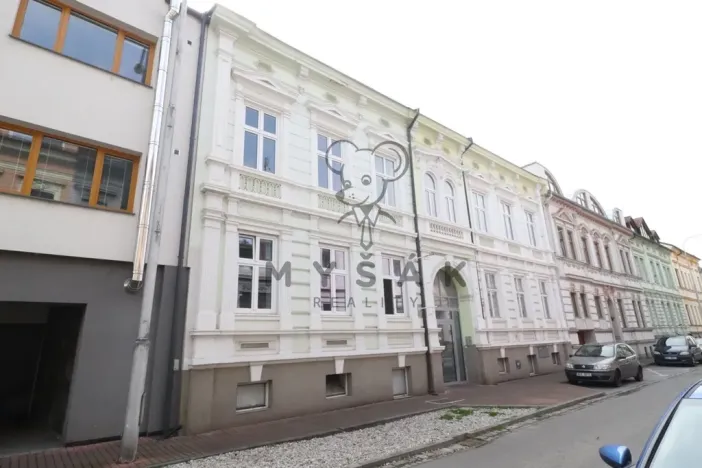 Pronájem bytu 2+kk, České Budějovice - České Budějovice 3, Riegrova, 54 m2