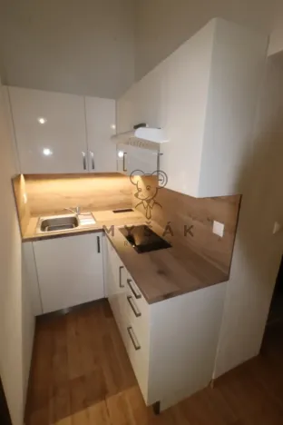 Pronájem bytu 2+kk, České Budějovice - České Budějovice 3, Riegrova, 54 m2