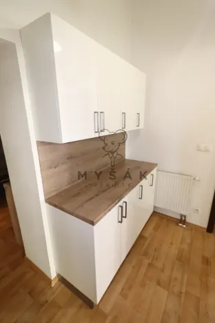 Pronájem bytu 2+kk, České Budějovice - České Budějovice 3, Riegrova, 54 m2