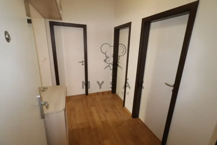 Pronájem bytu 2+kk, České Budějovice - České Budějovice 3, Riegrova, 54 m2