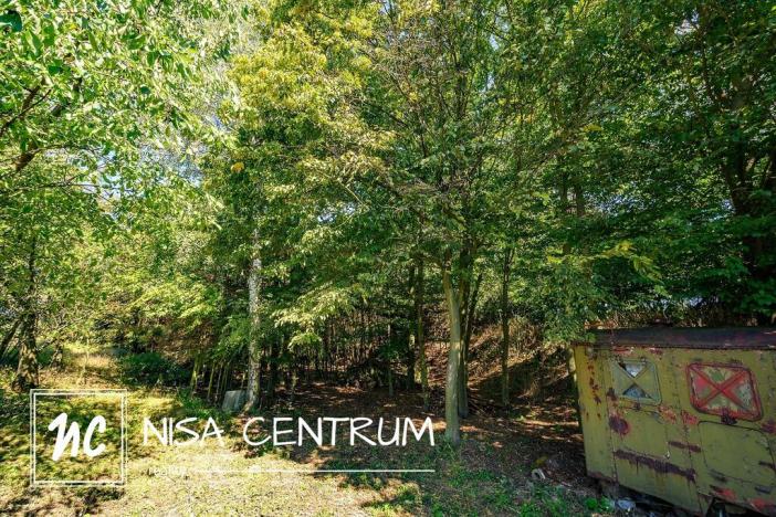 Prodej lesa, Obruby, 3075 m2