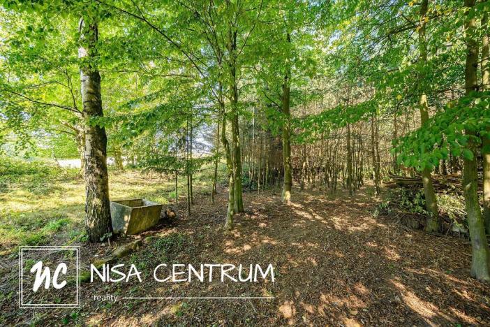 Prodej lesa, Obruby, 3075 m2