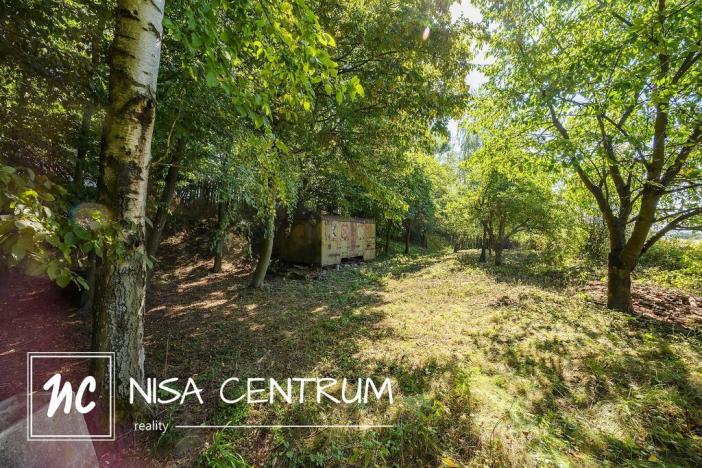 Prodej lesa, Obruby, 3075 m2