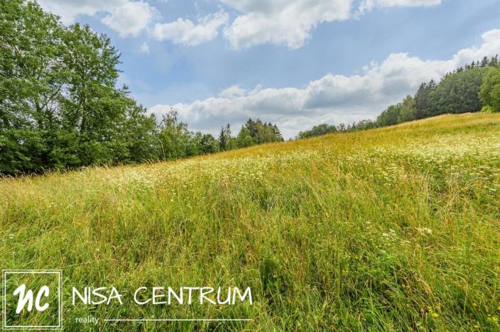 Prodej louky, Víchová nad Jizerou, 1739 m2