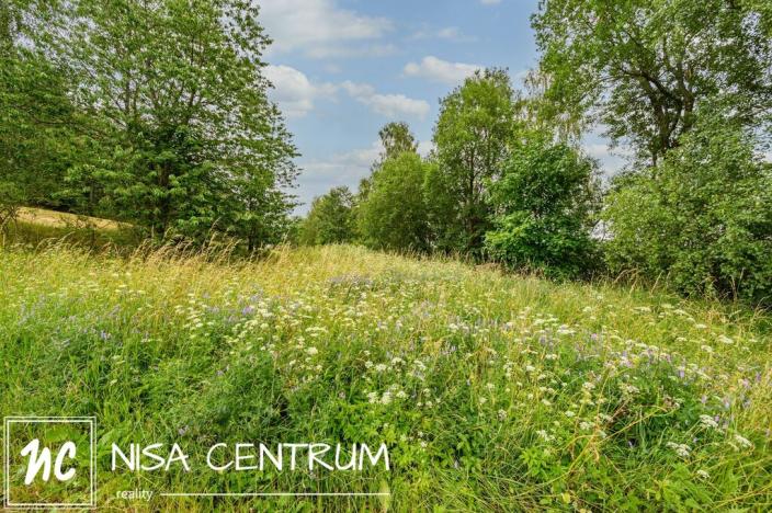 Prodej louky, Víchová nad Jizerou, 1739 m2