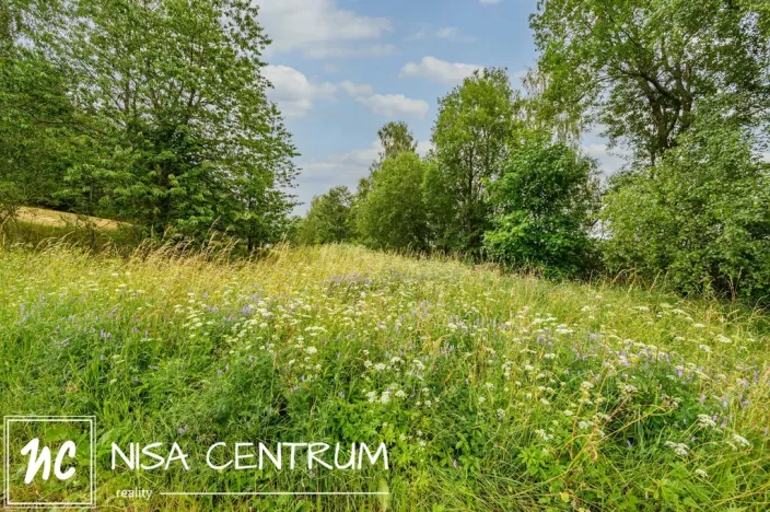 Prodej louky, Víchová nad Jizerou, 1739 m2