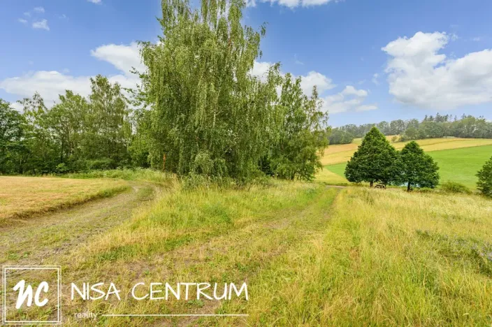 Prodej louky, Víchová nad Jizerou, 1739 m2