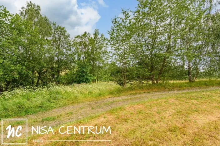 Prodej louky, Víchová nad Jizerou, 1739 m2