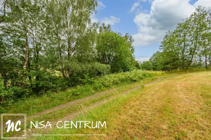 Prodej louky, Víchová nad Jizerou, 1739 m2