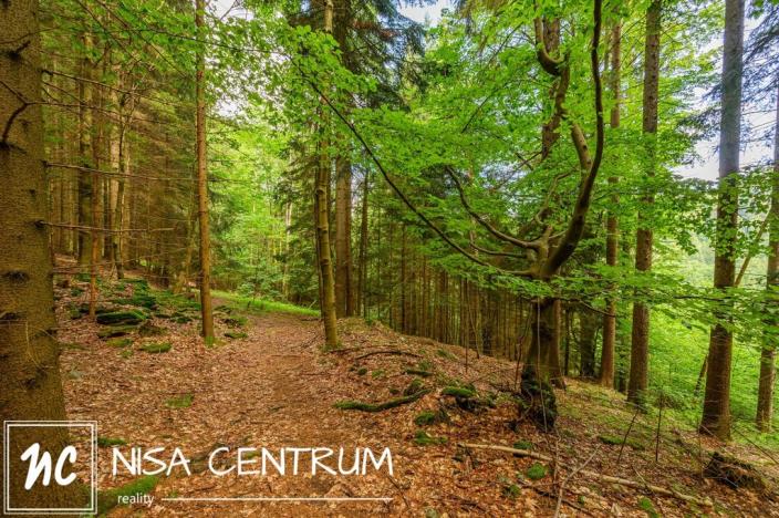 Prodej louky, Víchová nad Jizerou, 1867 m2