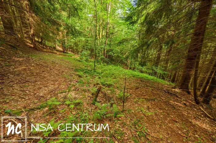 Prodej louky, Víchová nad Jizerou, 1867 m2