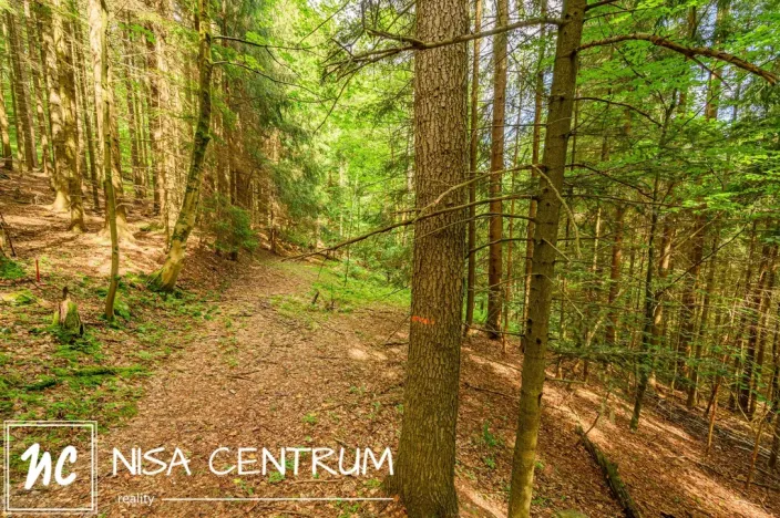 Prodej louky, Víchová nad Jizerou, 1867 m2