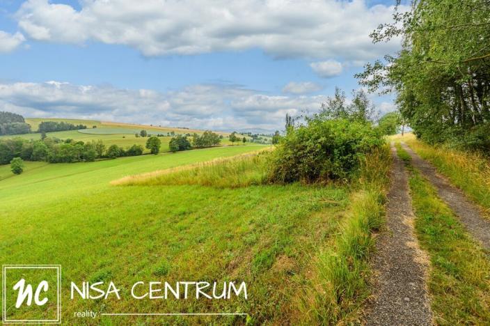 Prodej louky, Víchová nad Jizerou, 991 m2